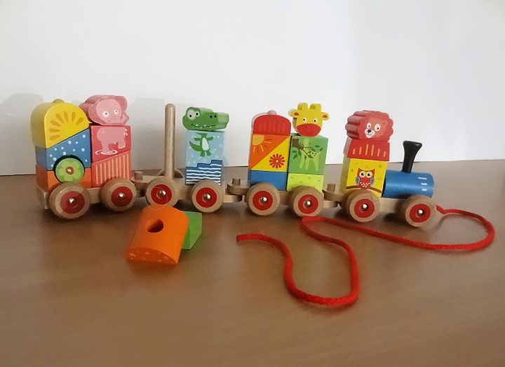 Train bois (1)